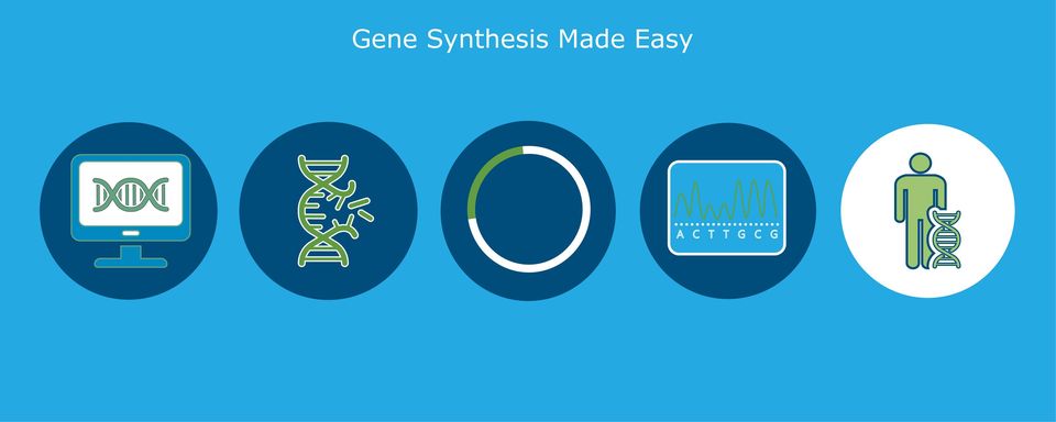 The Power of Gene Synthesis Services in Modern Biotechnology