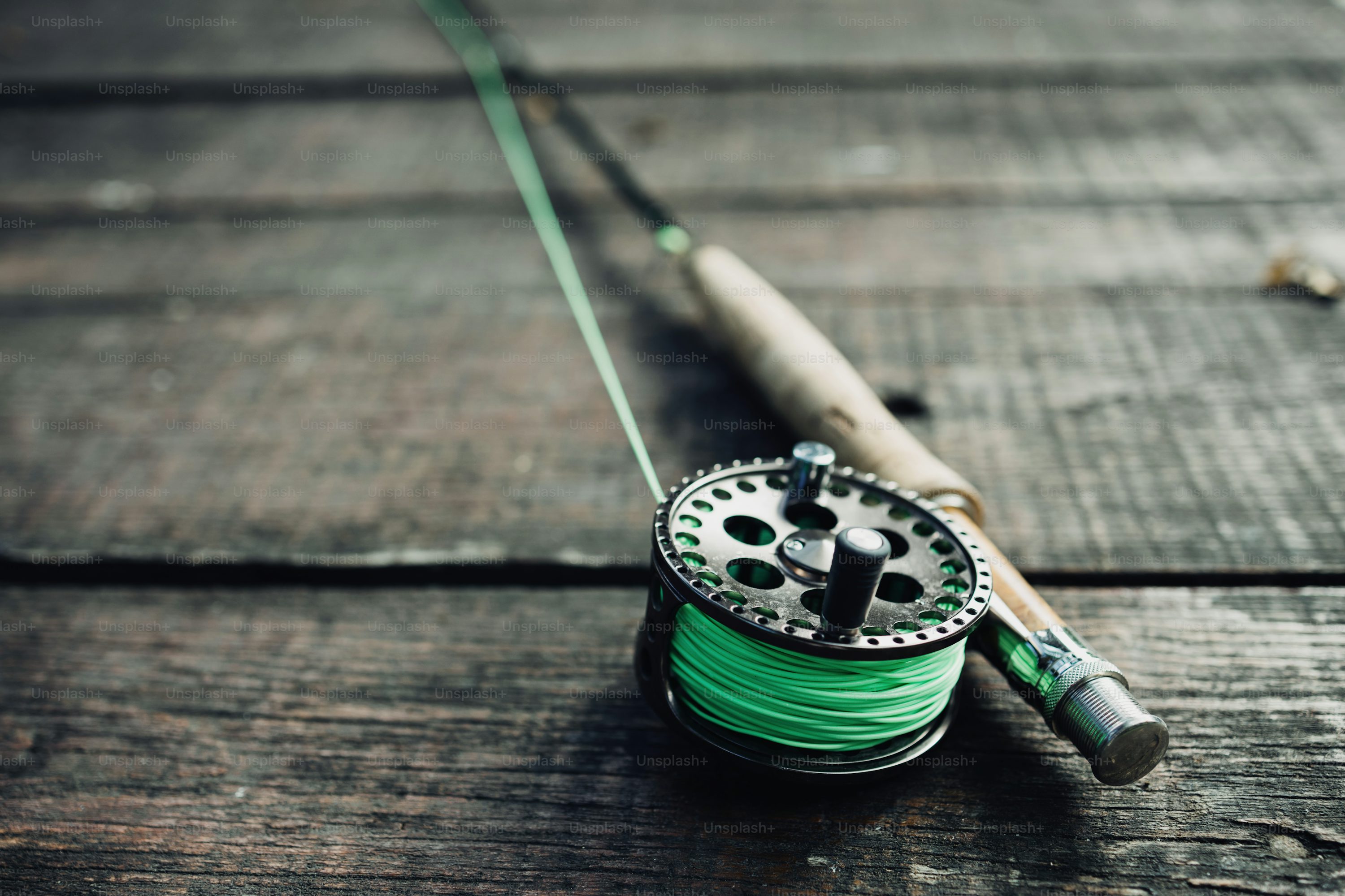 Top 5 Carp Rods to Pair with the KP Standard Farcast Reel