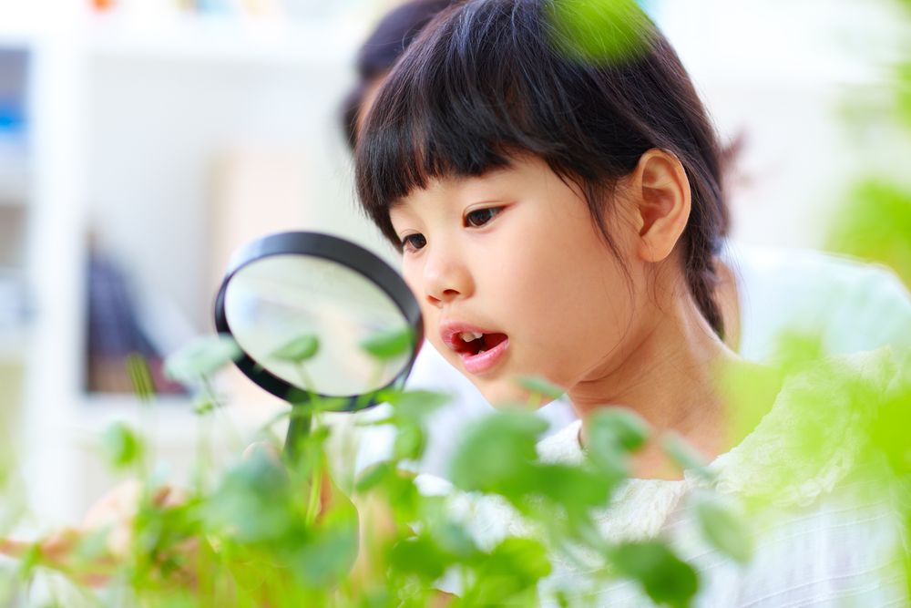 Nurturing Growth and Well-being: How Children Benefit from Biophilic Design