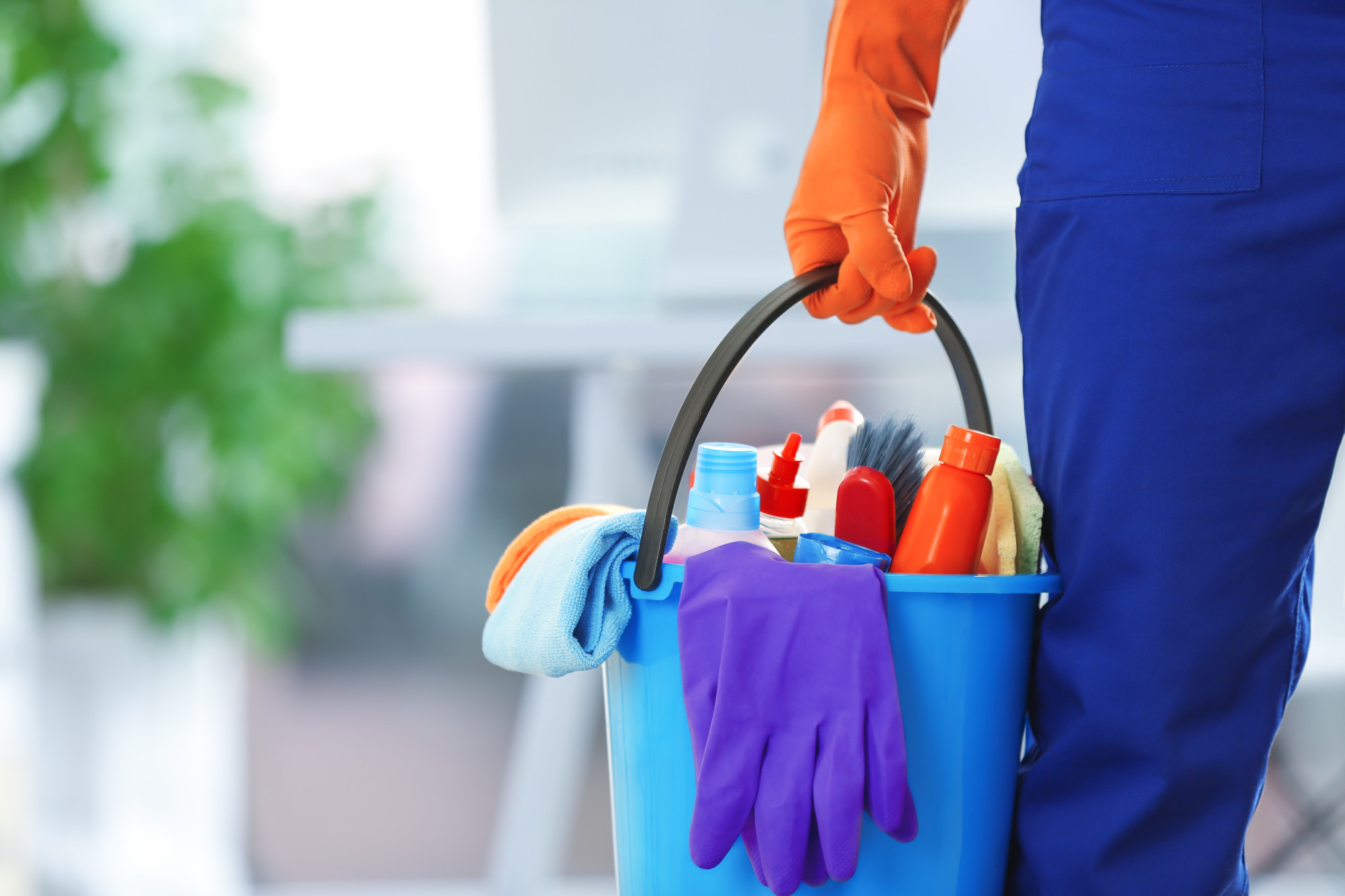 Let's Deep Dive into Cleaning Services in Ocean City, MD.