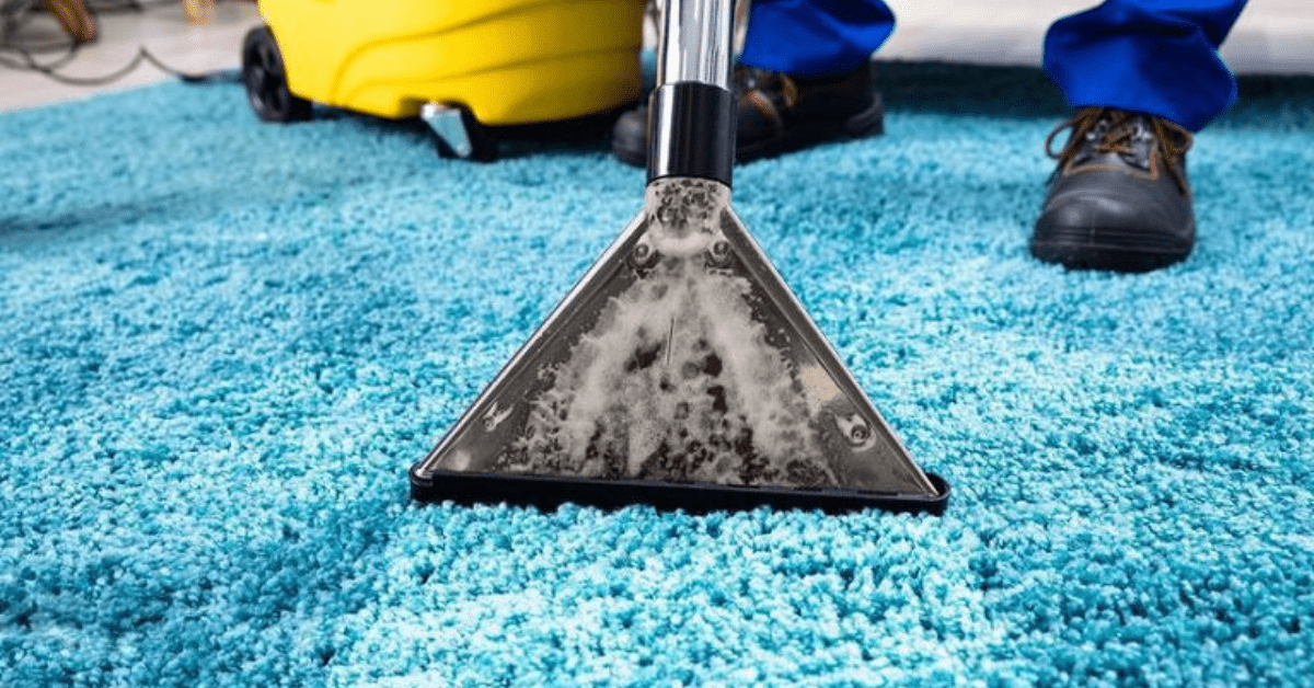 Shielding Your Space: Why Carpet Cleaning Prevents Water Woes