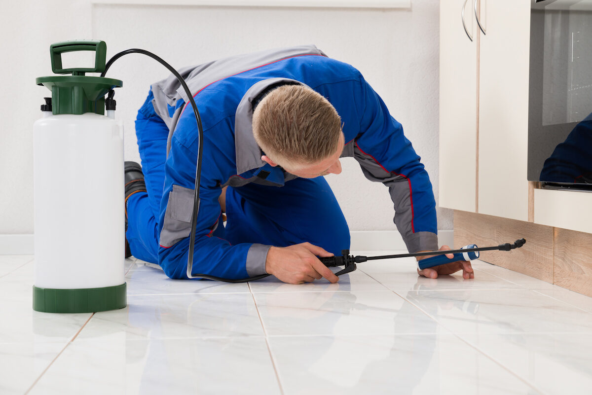 Top 10 Best Pest Control Companies in Houston of 2024